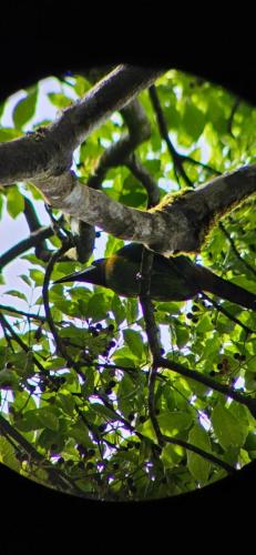 IMG-20230625-WA0008