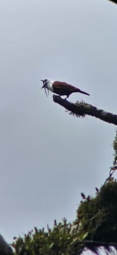IMG-20230625-WA0047