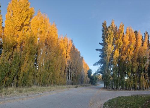 IMG20230414185204