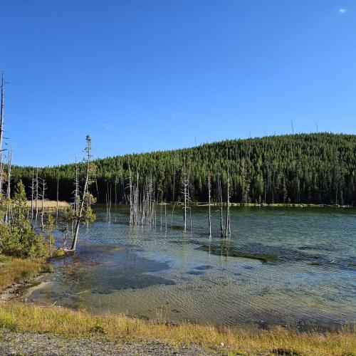 Yellowstone - j4