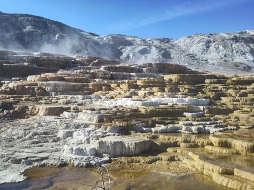 Yellowstone - j6