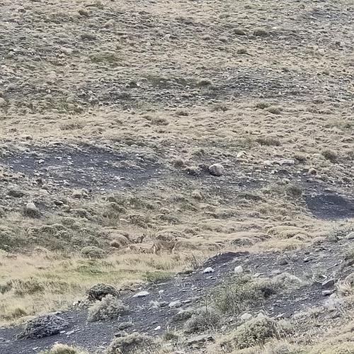 IMG20230402091444